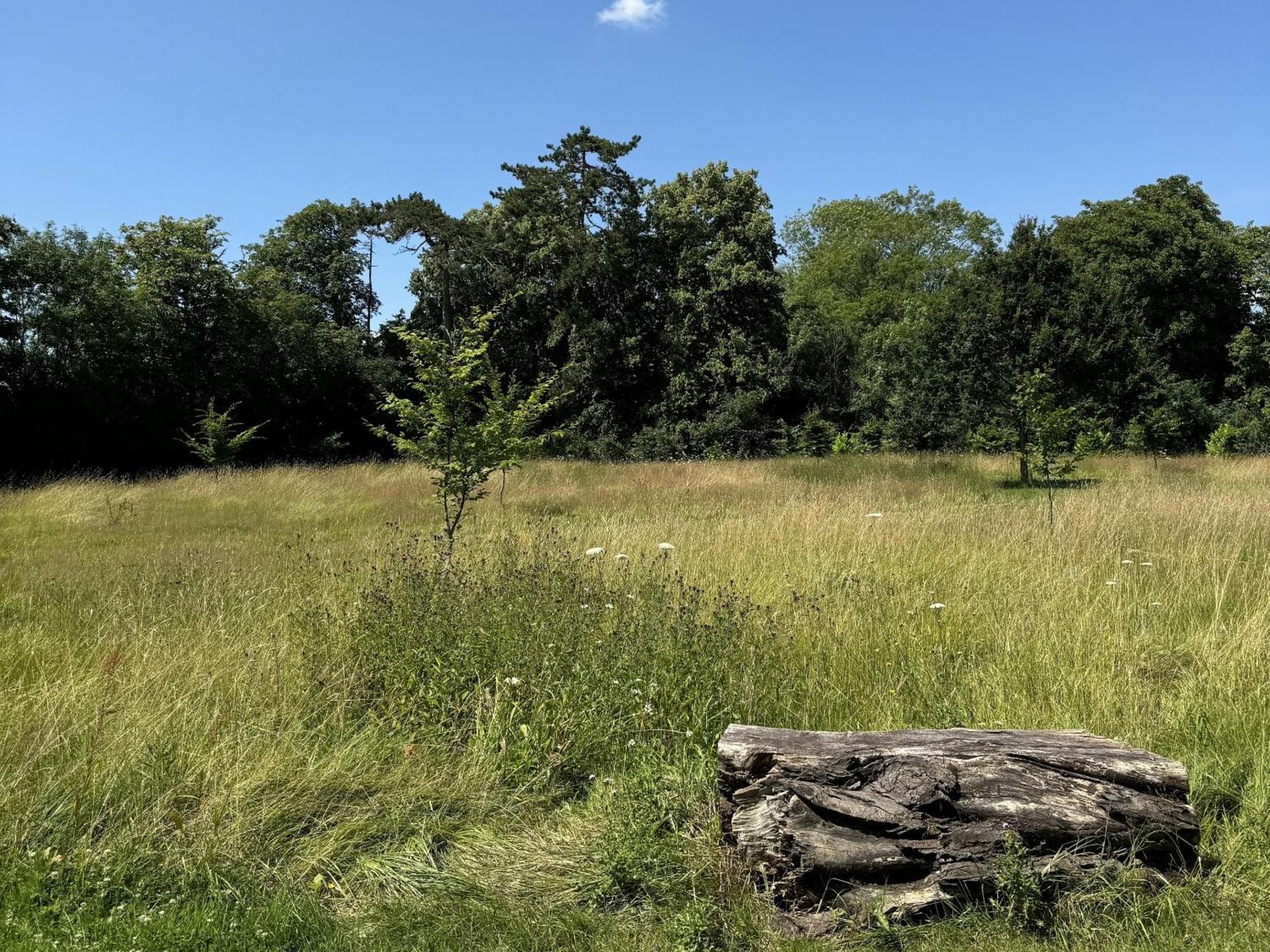 Hookwood Lodge London Gatwick Horley Bagian luar foto